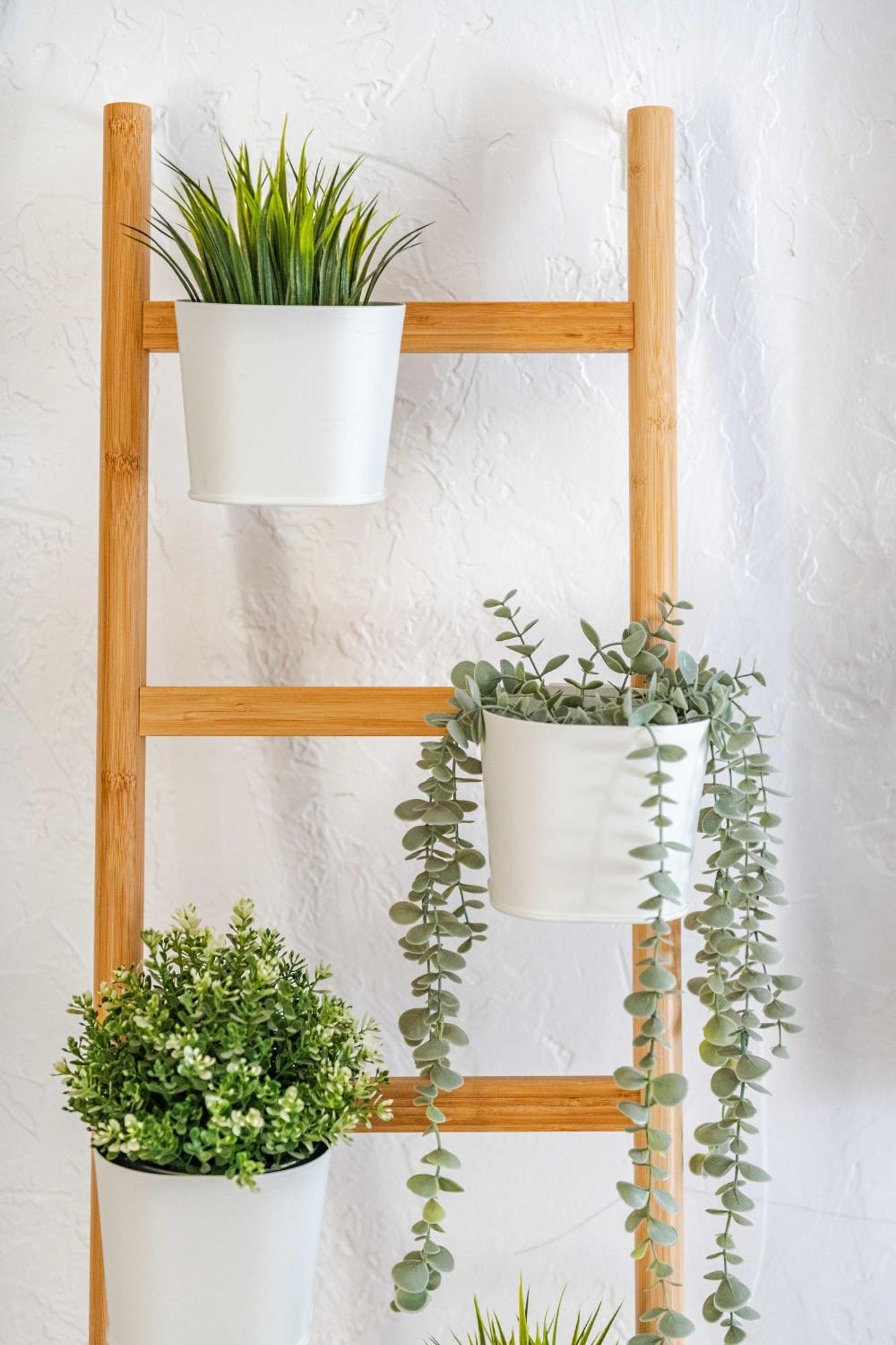Copenhagen Cottage 索尔万 外观 照片